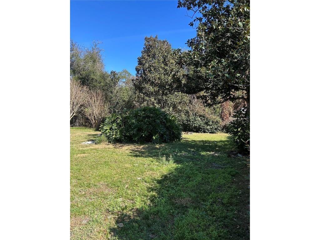 20621 SE Highway 42 Umatilla FL 32784 G5106110 image2