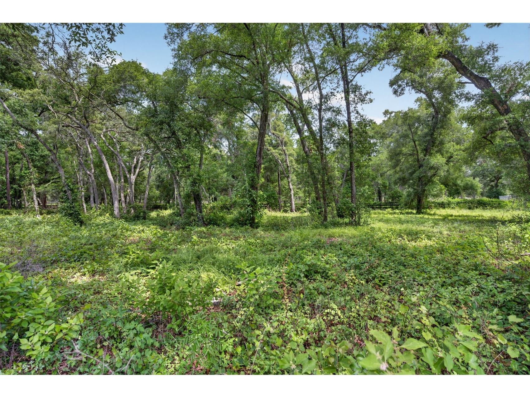 20621 Shady Oak Lane Eustis FL 32736 G5112714 image52