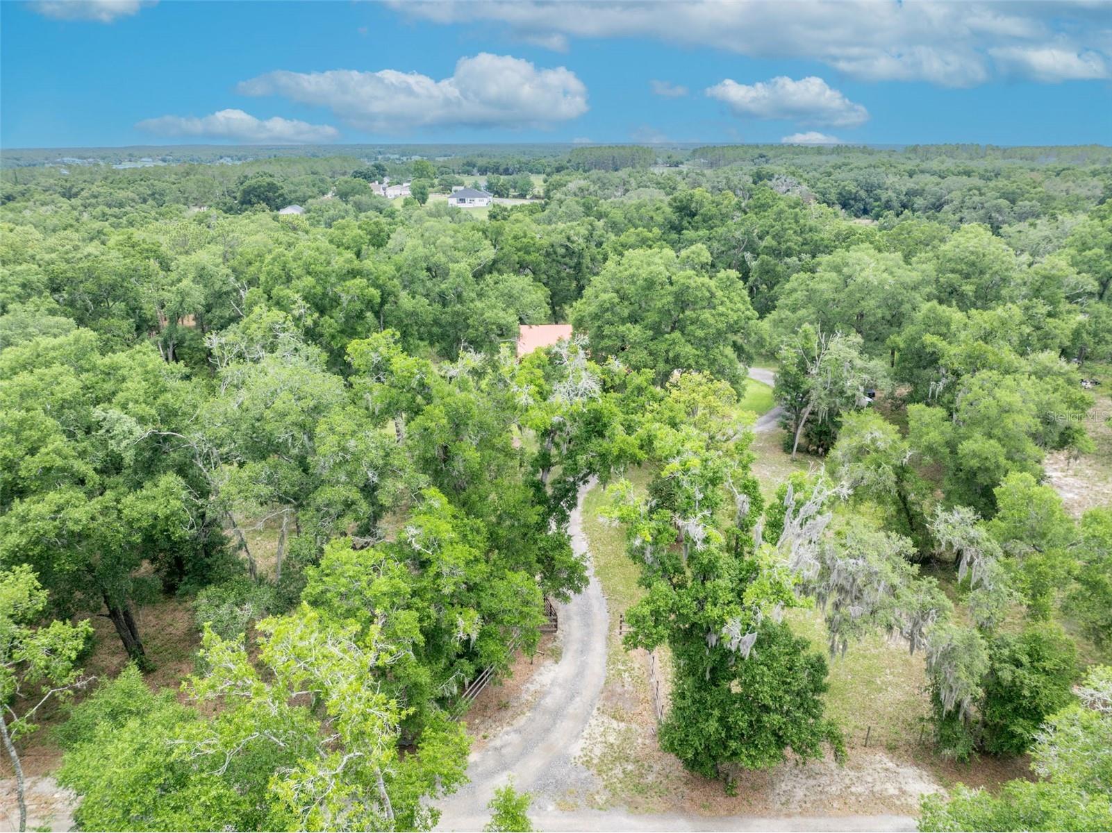 20621 Shady Oak Lane Eustis FL 32736 G5112714 image73