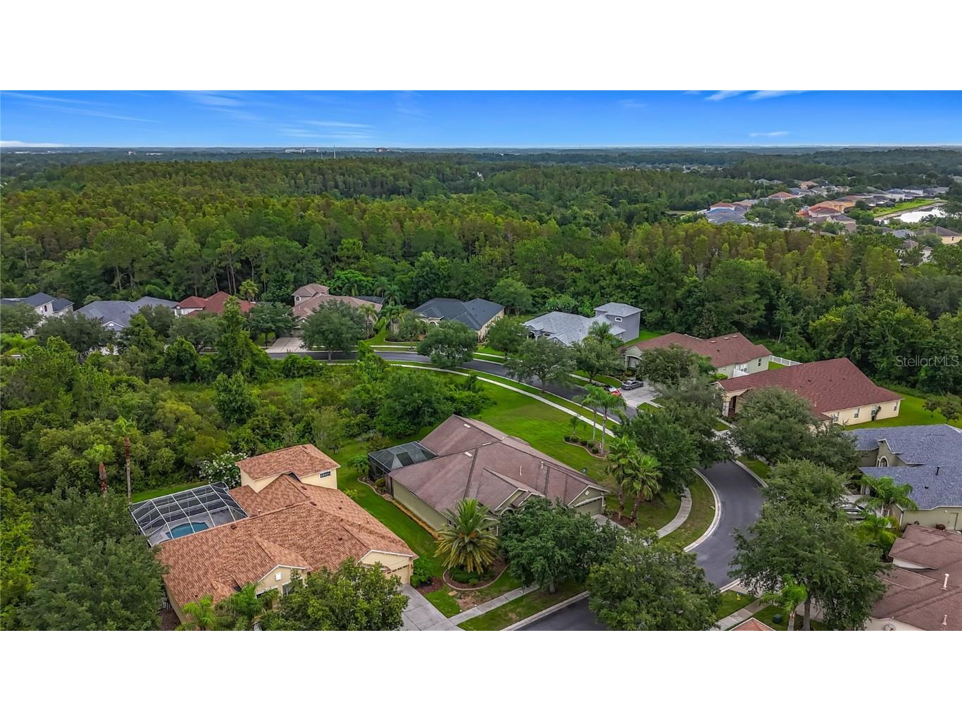 20626 Longleaf Pine Avenue Tampa FL 33647 TB8406658 image6