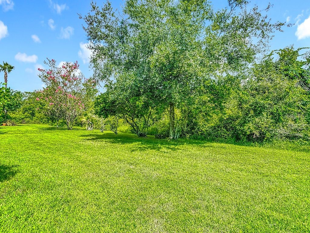 20626 Longleaf Pine Avenue Tampa FL 33647 TB8406658 image68