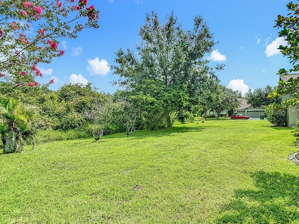 20626 Longleaf Pine Avenue Tampa FL 33647 TB8406658 image71