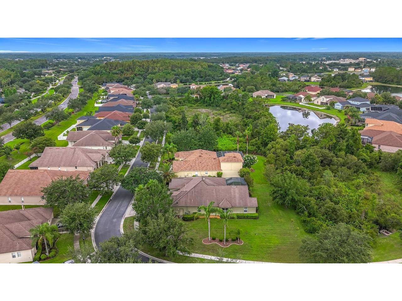 20626 Longleaf Pine Avenue Tampa FL 33647 TB8406658 image76