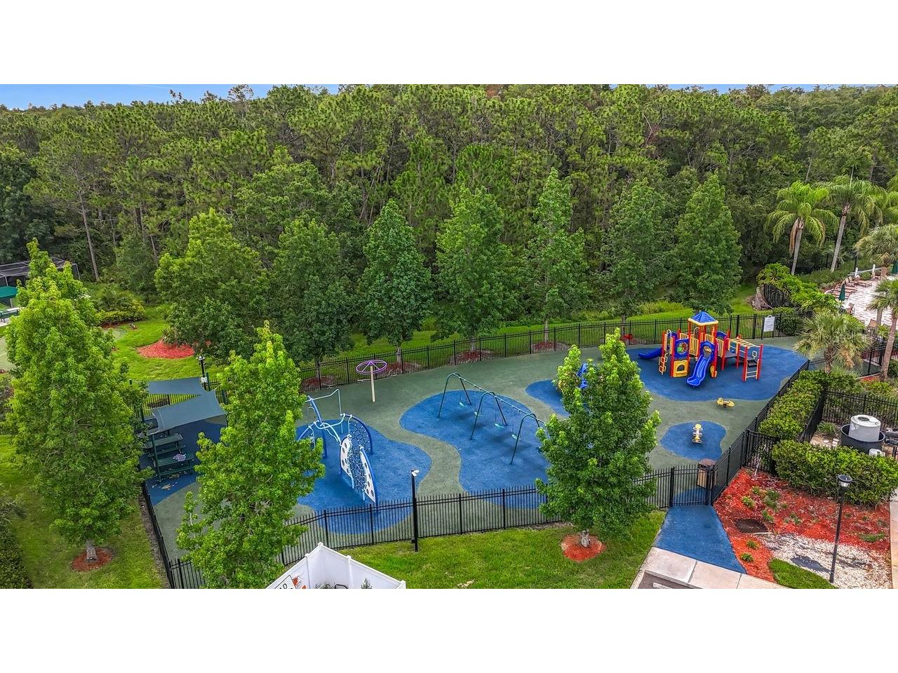 20626 Longleaf Pine Avenue Tampa FL 33647 TB8406658 image82