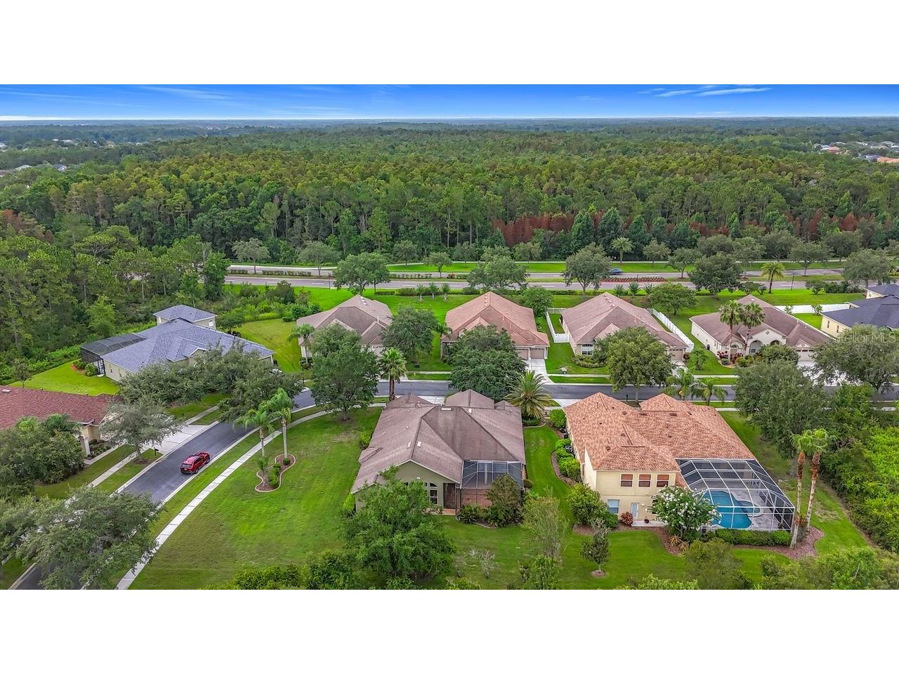 20626 Longleaf Pine Avenue Tampa FL 33647 TB8406658 image83