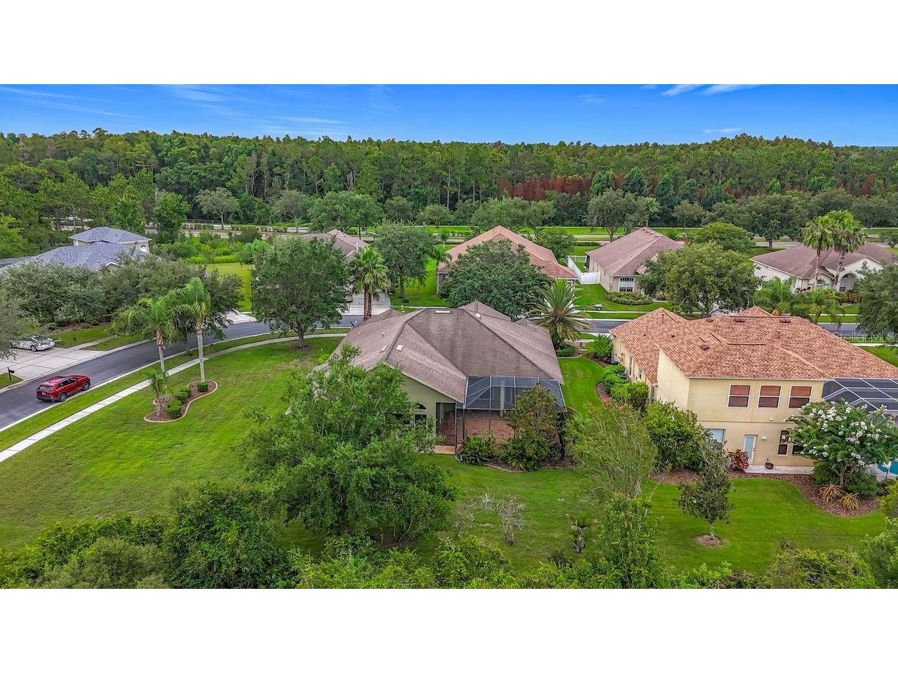 20626 Longleaf Pine Avenue Tampa FL 33647 TB8432807 image63