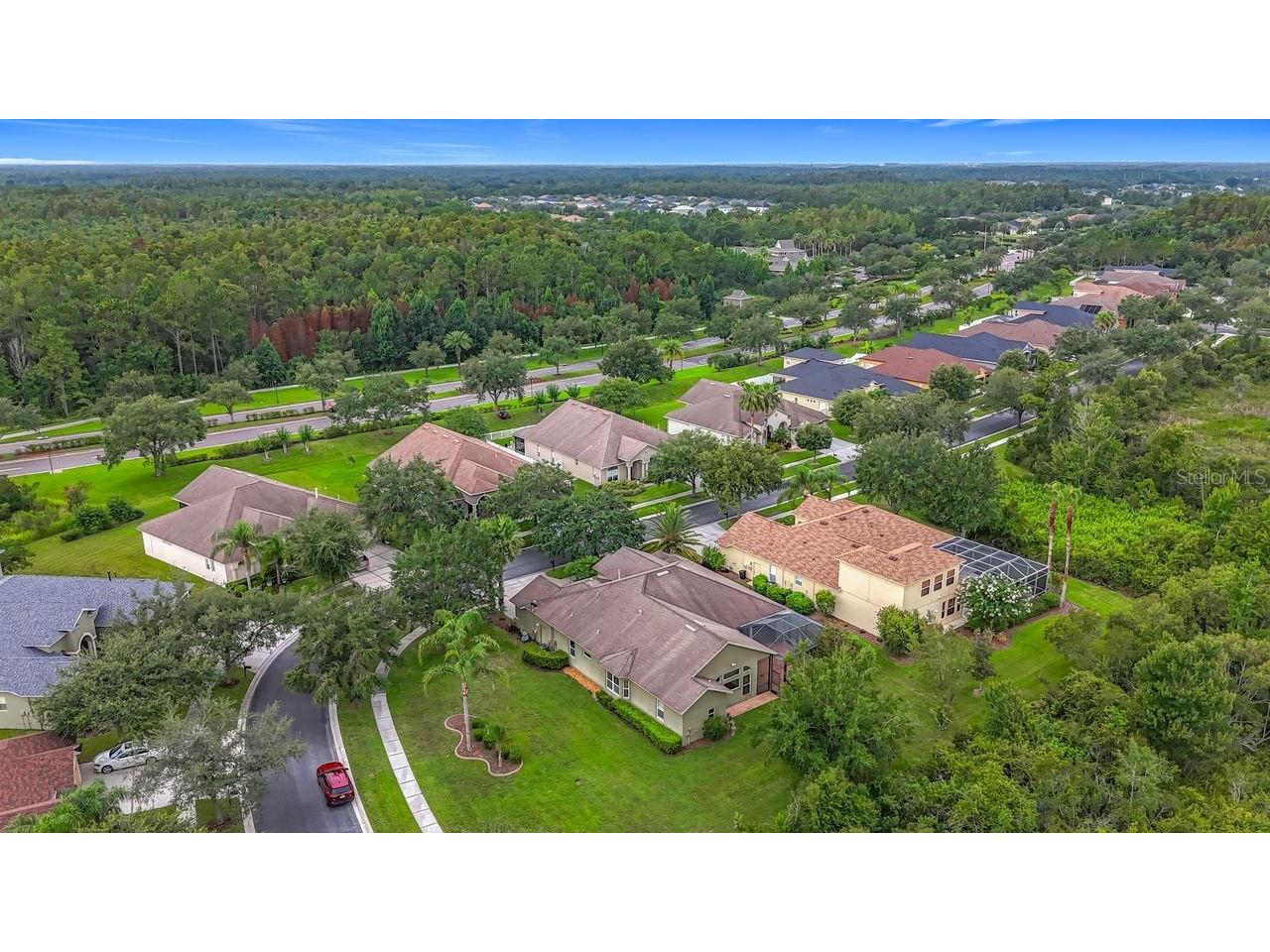 20626 Longleaf Pine Avenue Tampa FL 33647 TB8432807 image64