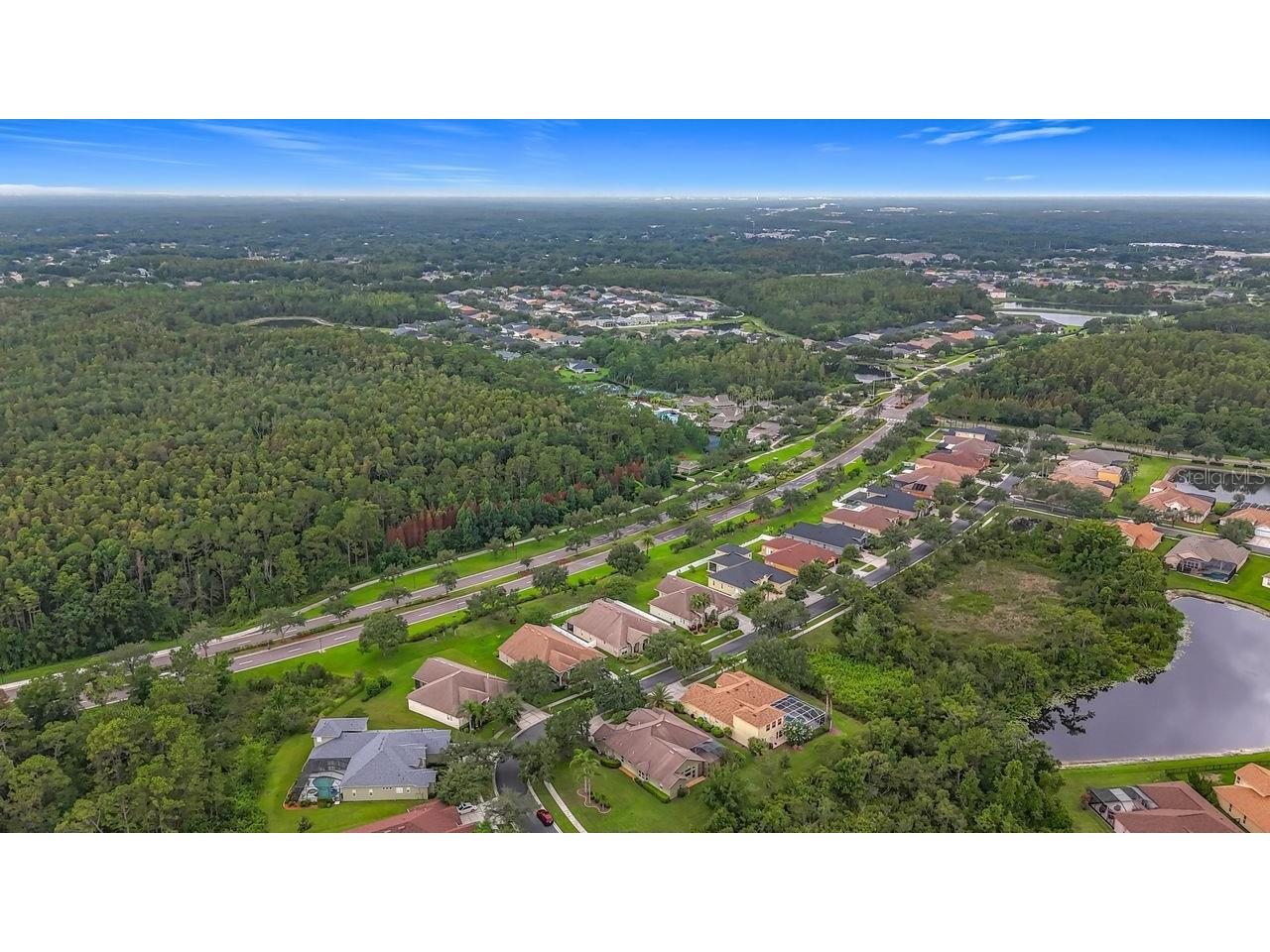 20626 Longleaf Pine Avenue Tampa FL 33647 TB8432807 image70