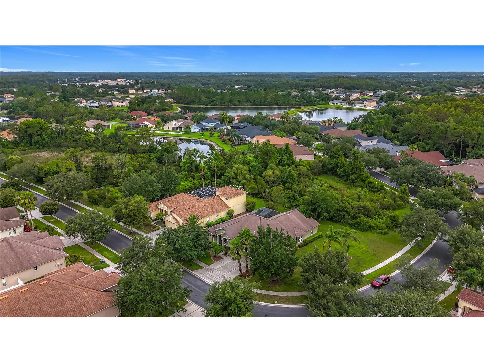 20626 Longleaf Pine Avenue Tampa FL 33647 TB8432807 image72