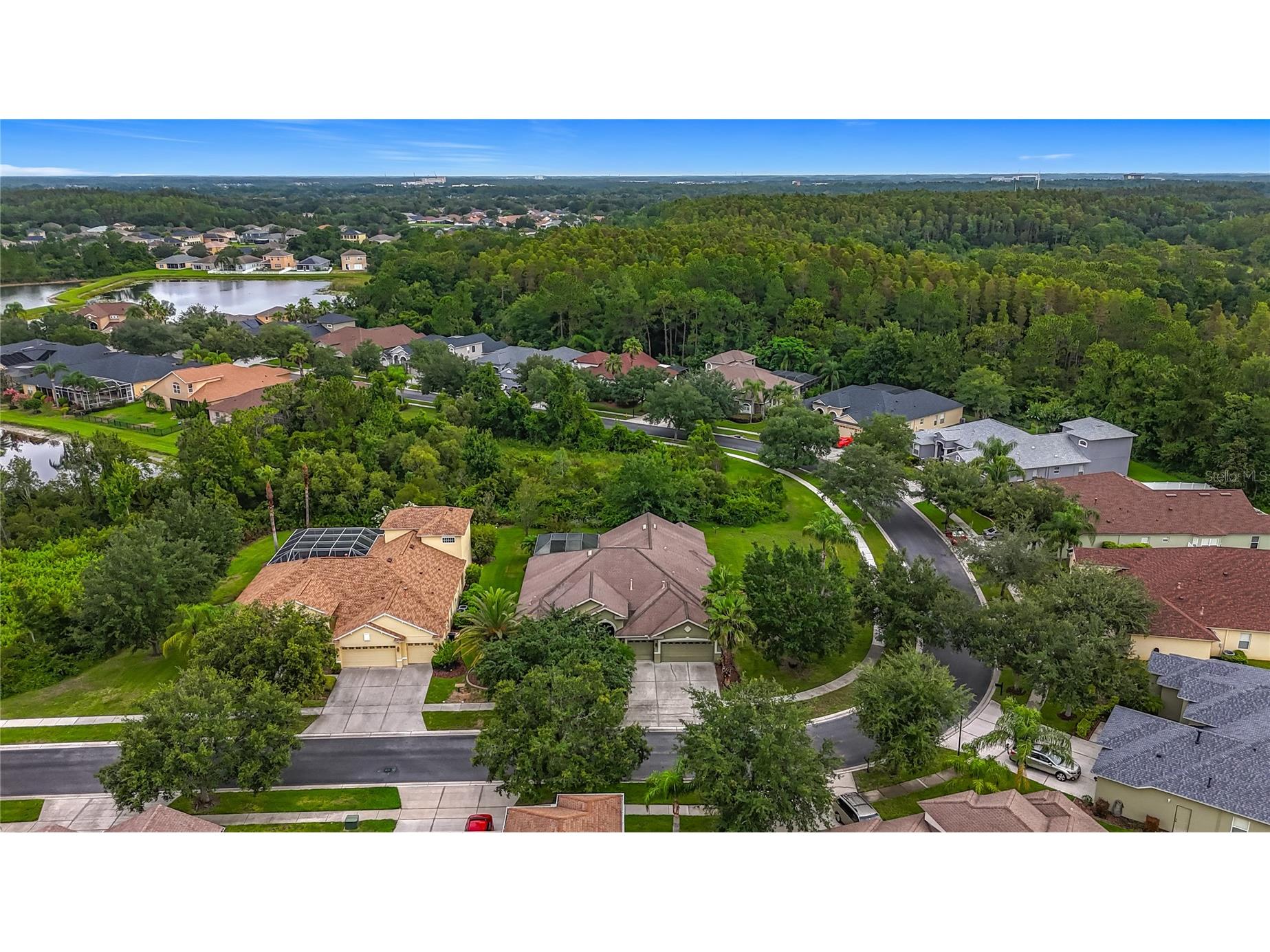 20626 Longleaf Pine Avenue Tampa FL 33647 TB8432807 image73