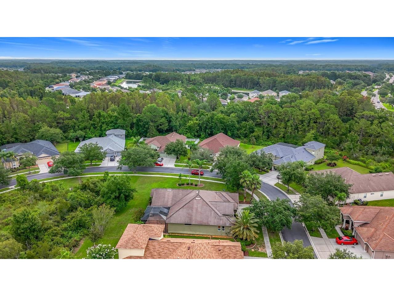 20626 Longleaf Pine Avenue Tampa FL 33647 TB8432807 image74