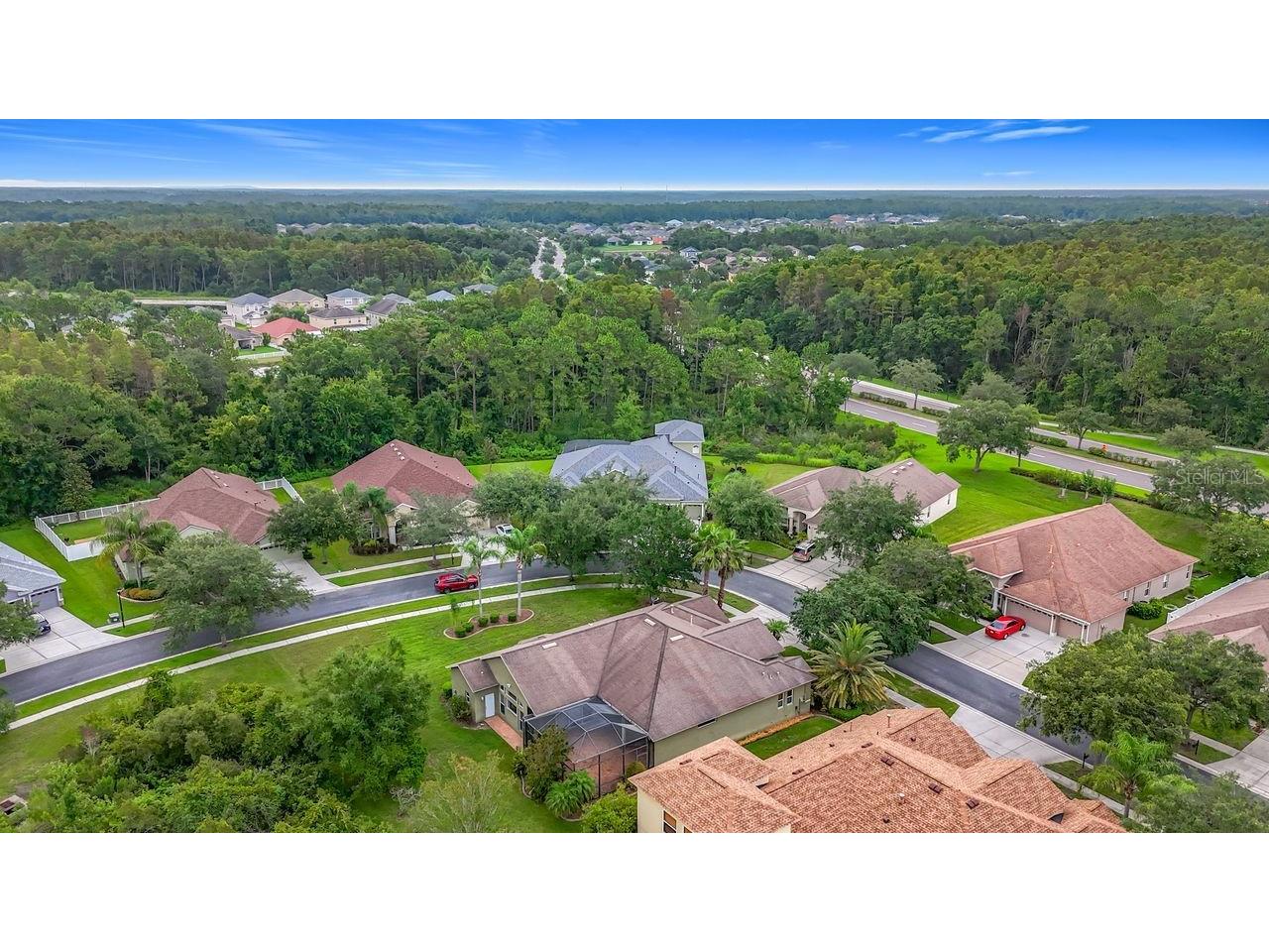 20626 Longleaf Pine Avenue Tampa FL 33647 TB8432807 image78