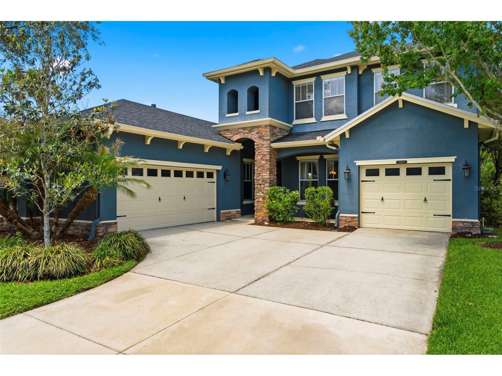 20629 Wild Plum Court Land O Lakes FL 34637 TB8501632 image1