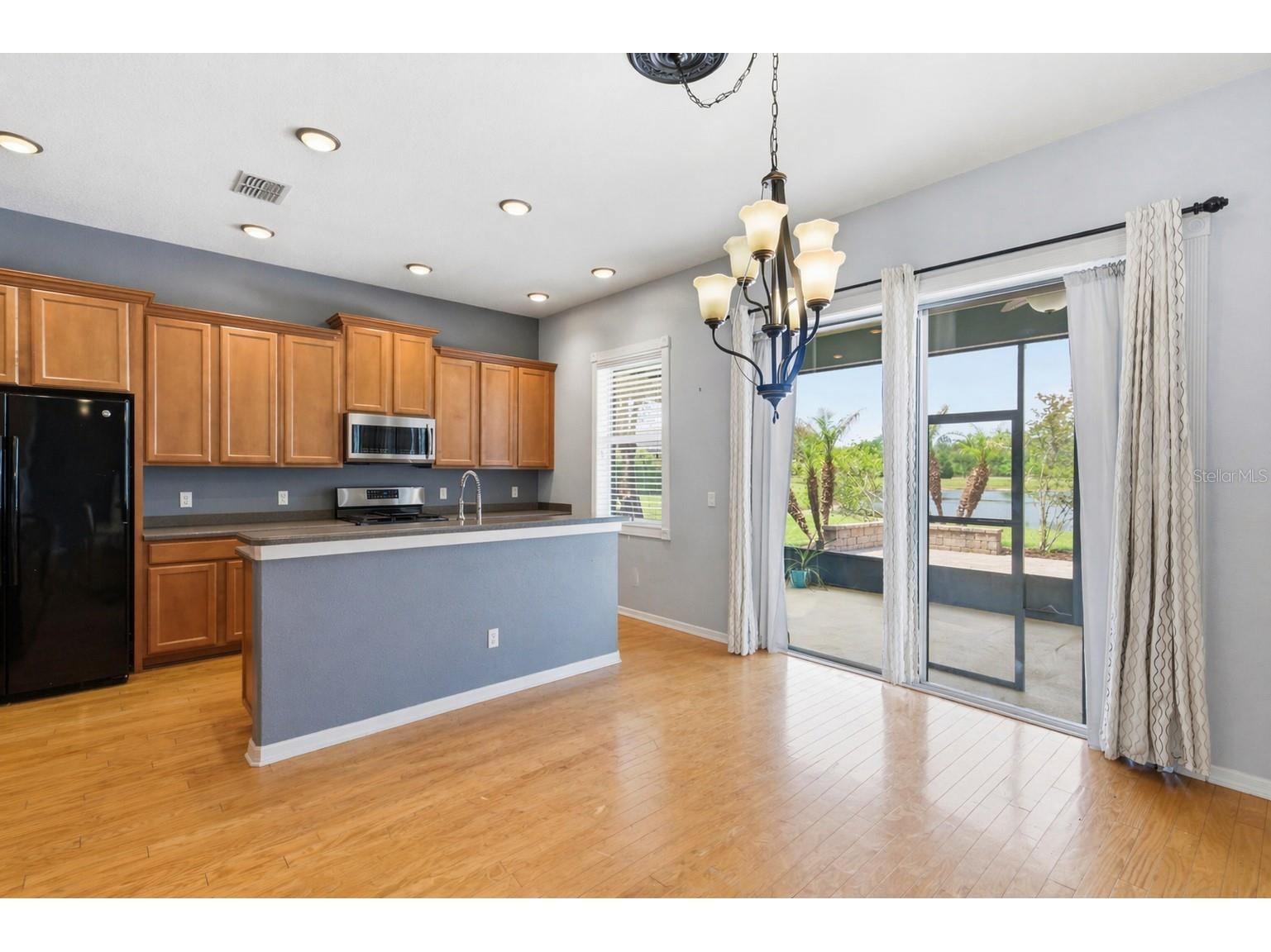 20629 Wild Plum Court Land O Lakes FL 34637 TB8501632 image17