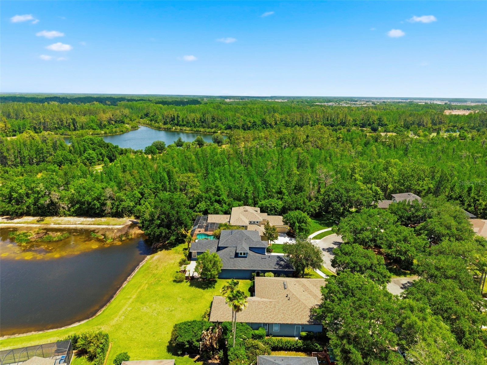 20629 Wild Plum Court Land O Lakes FL 34637 TB8501632 image2