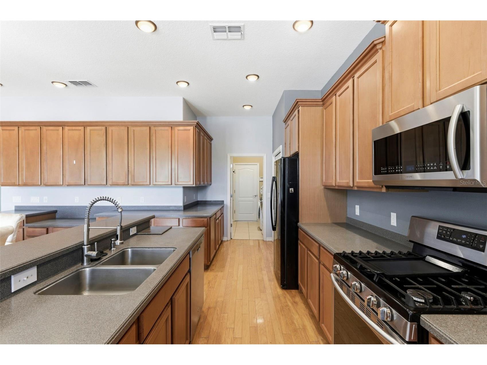 20629 Wild Plum Court Land O Lakes FL 34637 TB8501632 image20