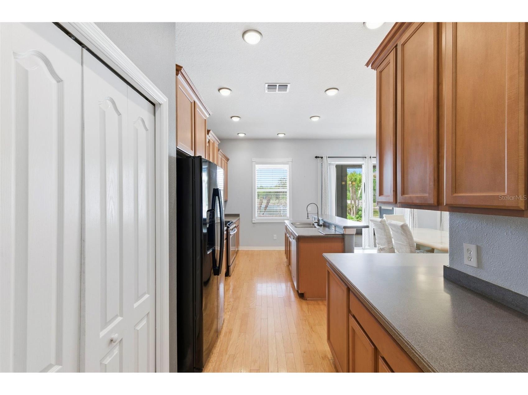 20629 Wild Plum Court Land O Lakes FL 34637 TB8501632 image22