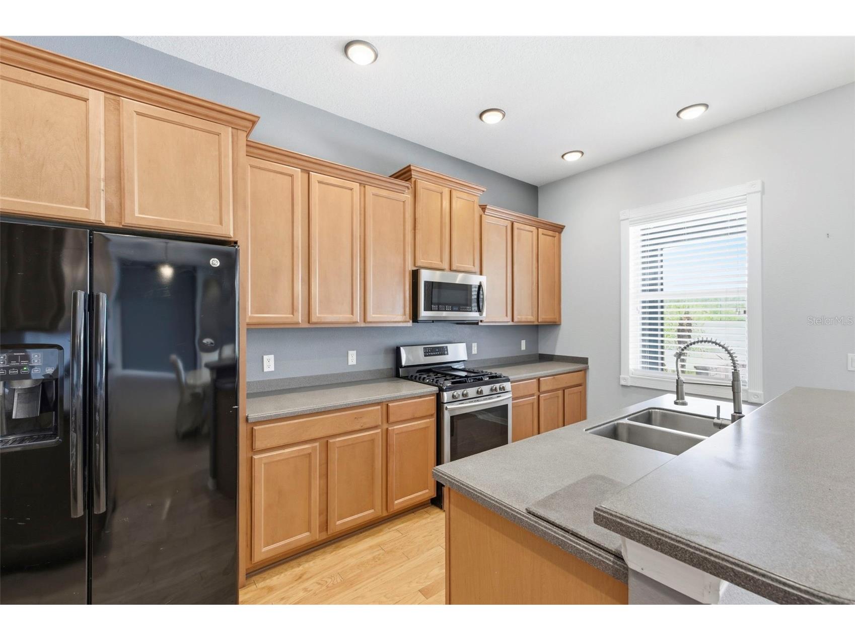 20629 Wild Plum Court Land O Lakes FL 34637 TB8501632 image23