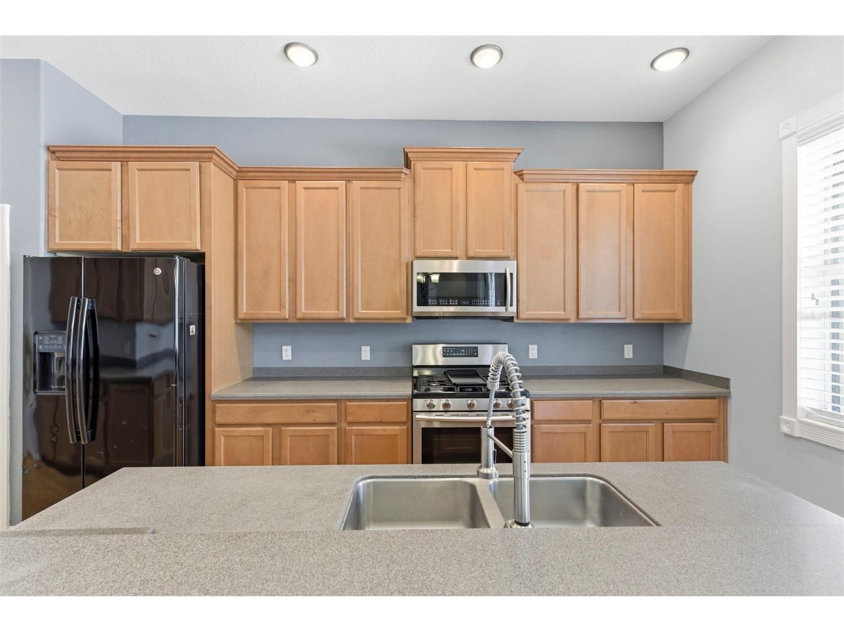 20629 Wild Plum Court Land O Lakes FL 34637 TB8501632 image24