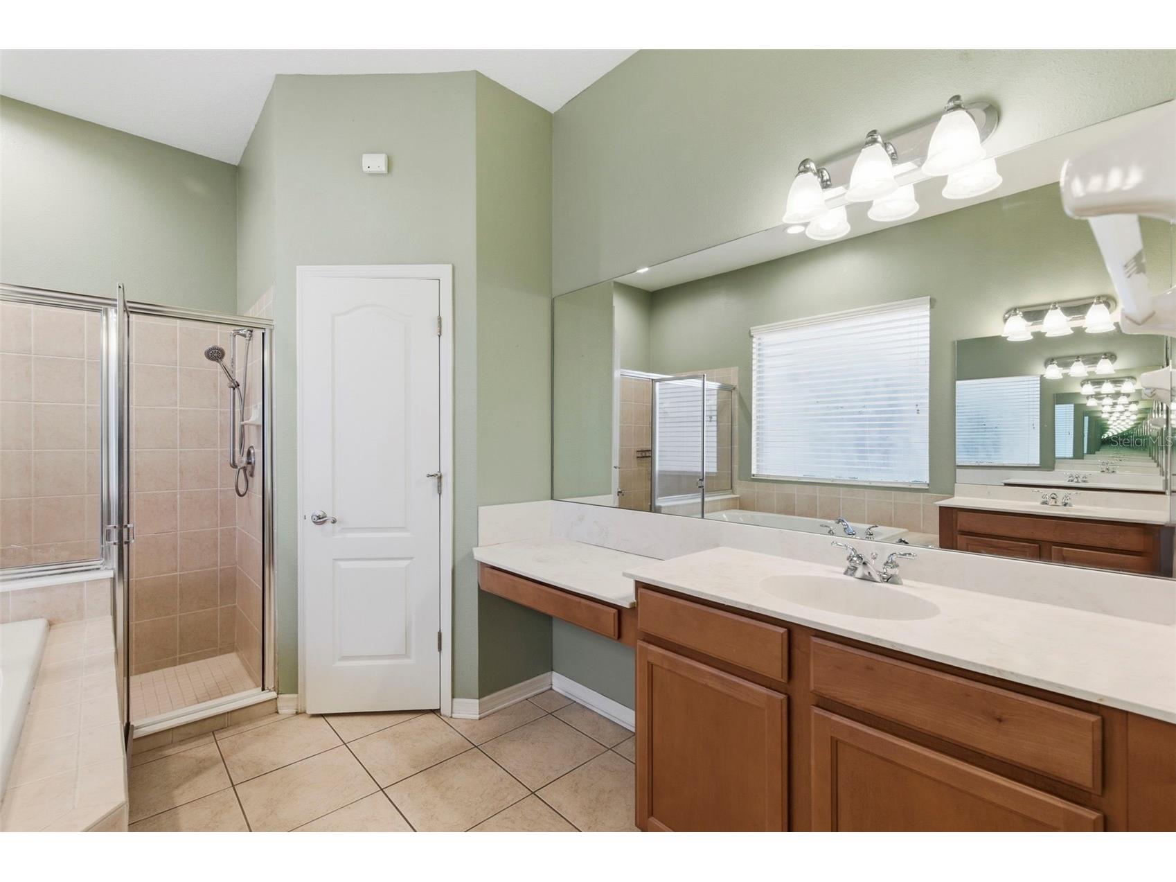 20629 Wild Plum Court Land O Lakes FL 34637 TB8501632 image29