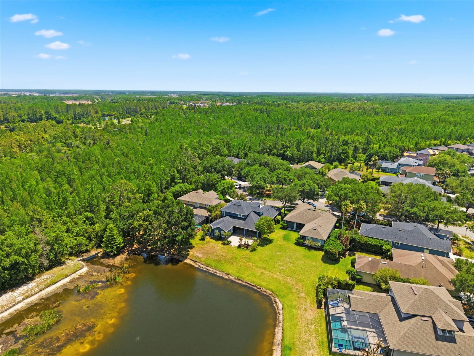 20629 Wild Plum Court Land O Lakes FL 34637 TB8501632 image3