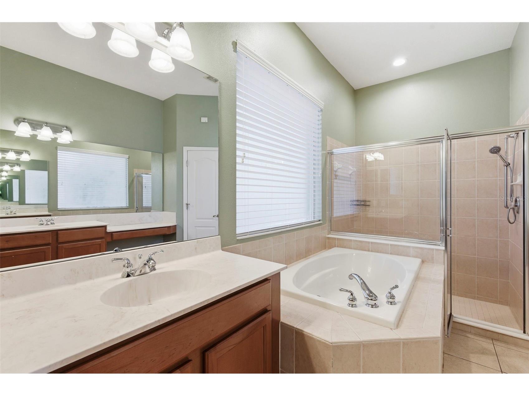 20629 Wild Plum Court Land O Lakes FL 34637 TB8501632 image30