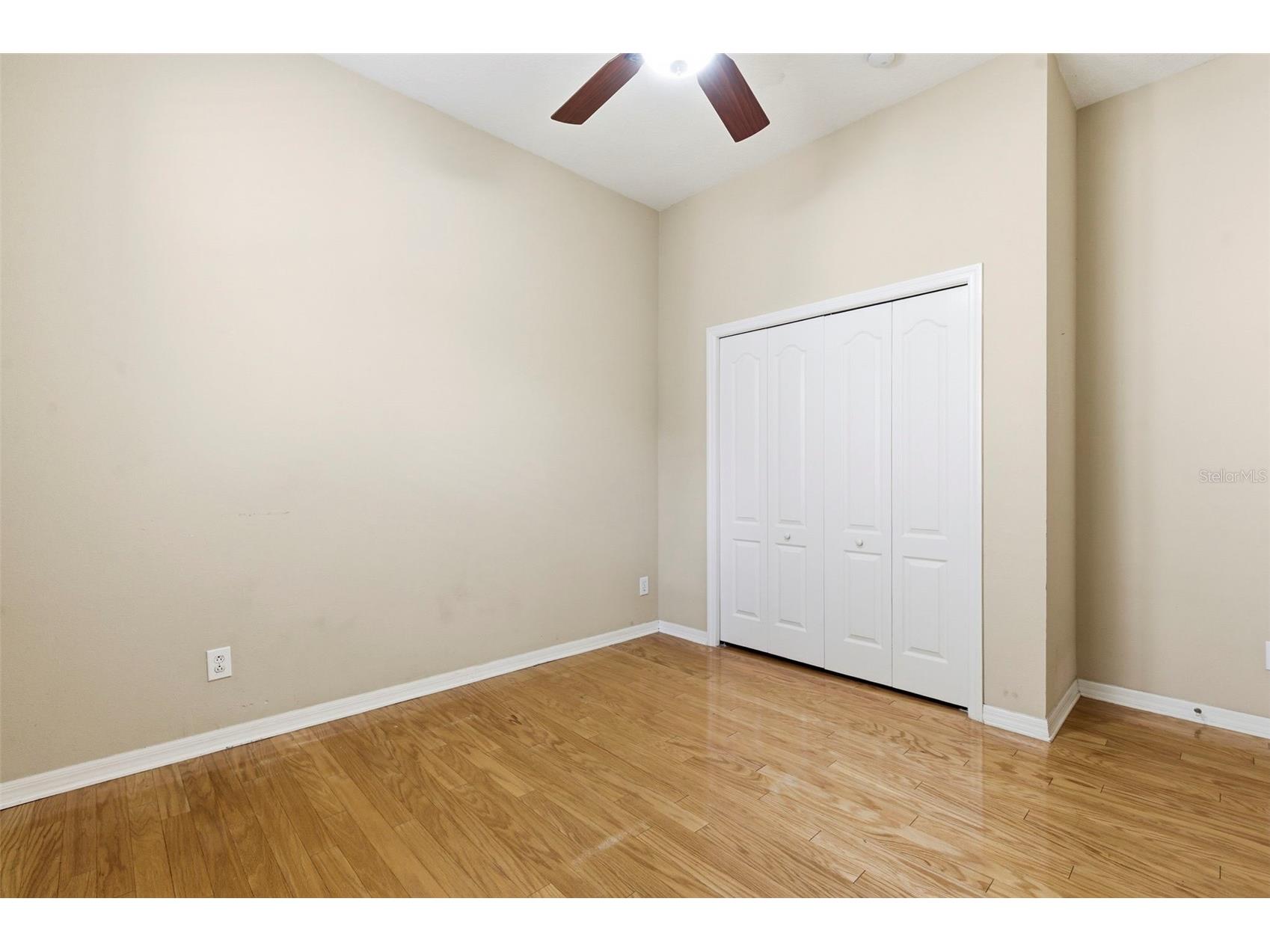 20629 Wild Plum Court Land O Lakes FL 34637 TB8501632 image33