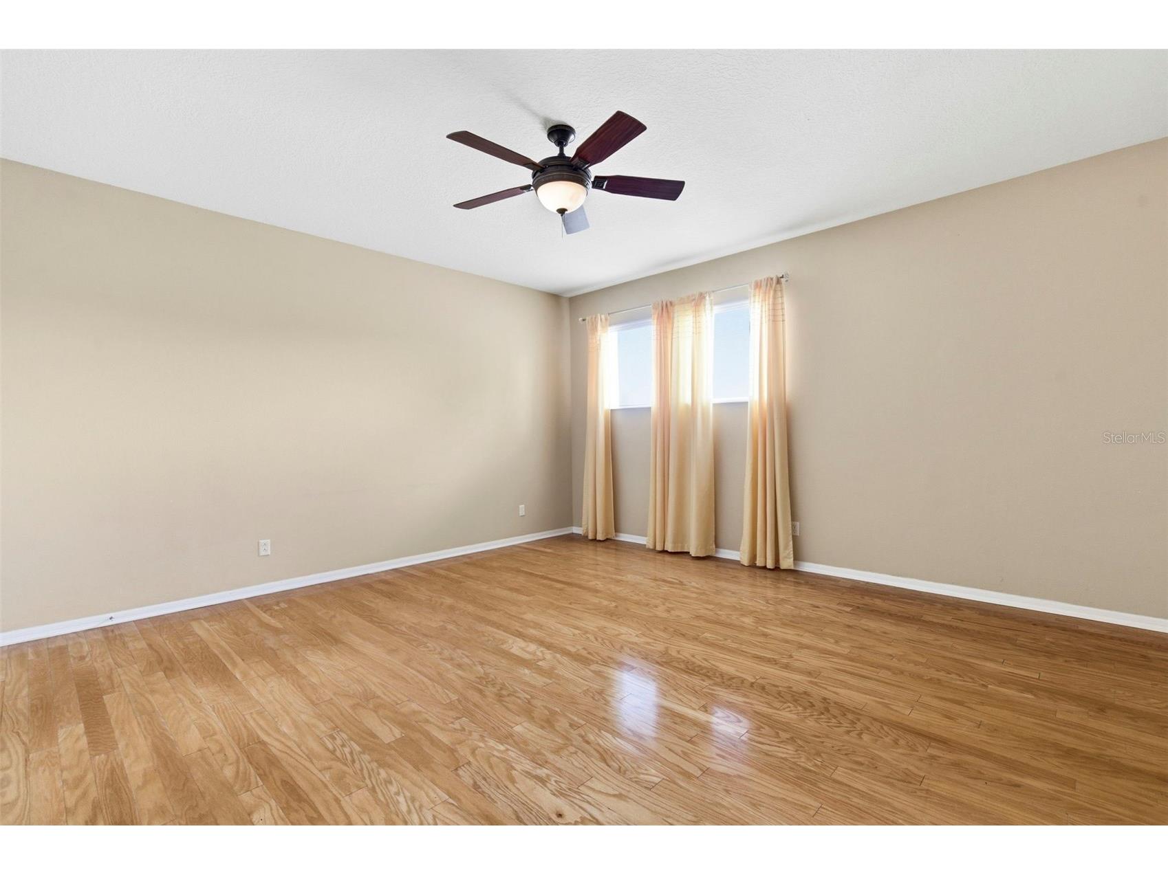 20629 Wild Plum Court Land O Lakes FL 34637 TB8501632 image45