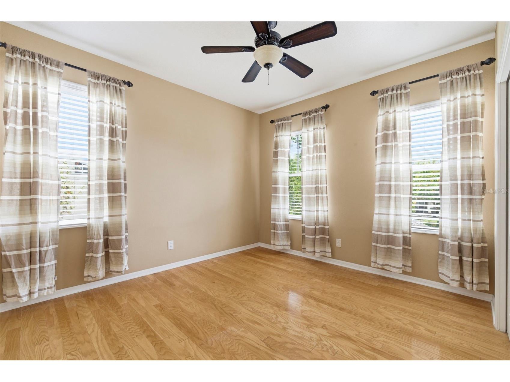 20629 Wild Plum Court Land O Lakes FL 34637 TB8501632 image51