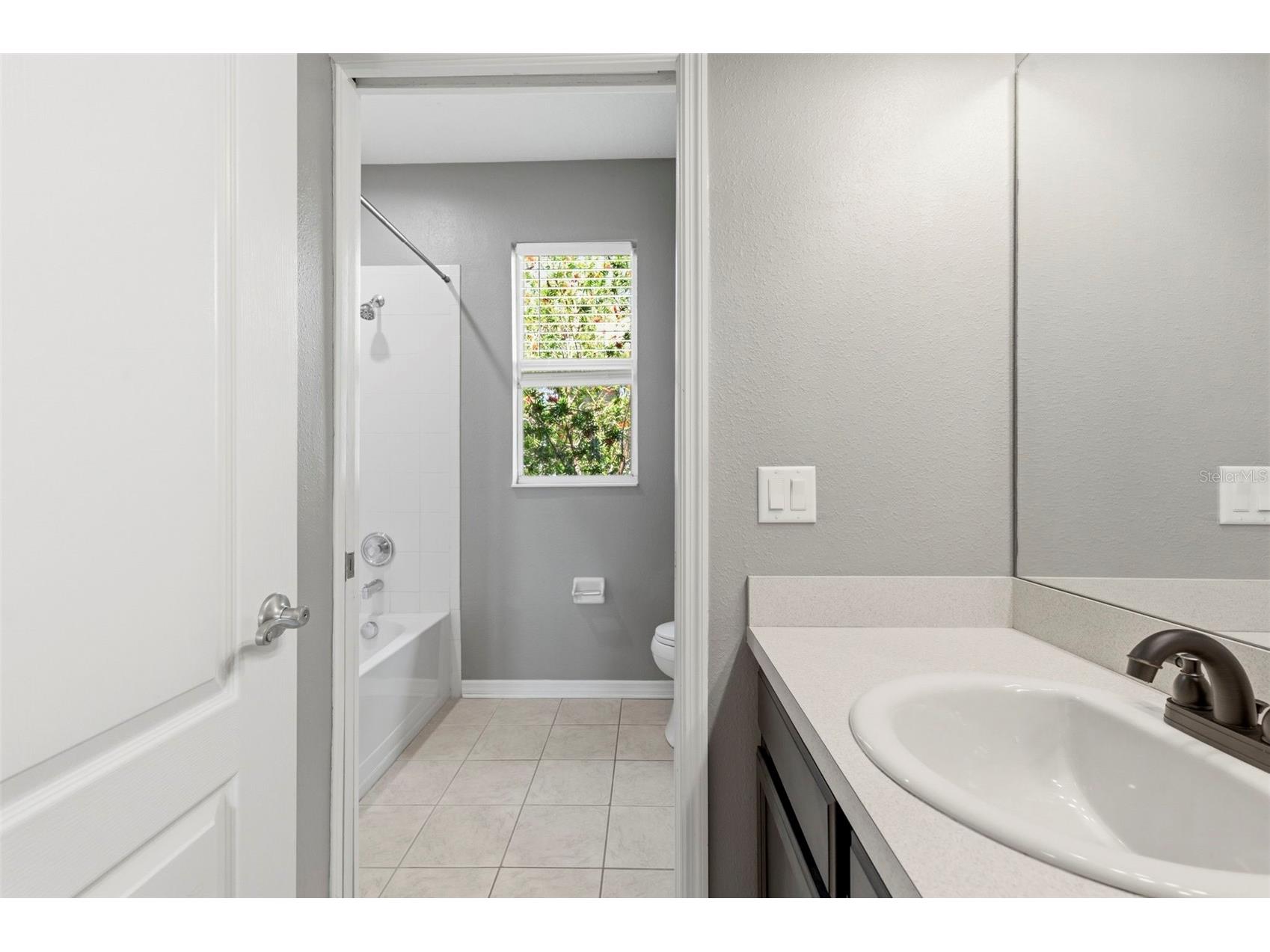 20629 Wild Plum Court Land O Lakes FL 34637 TB8501632 image55