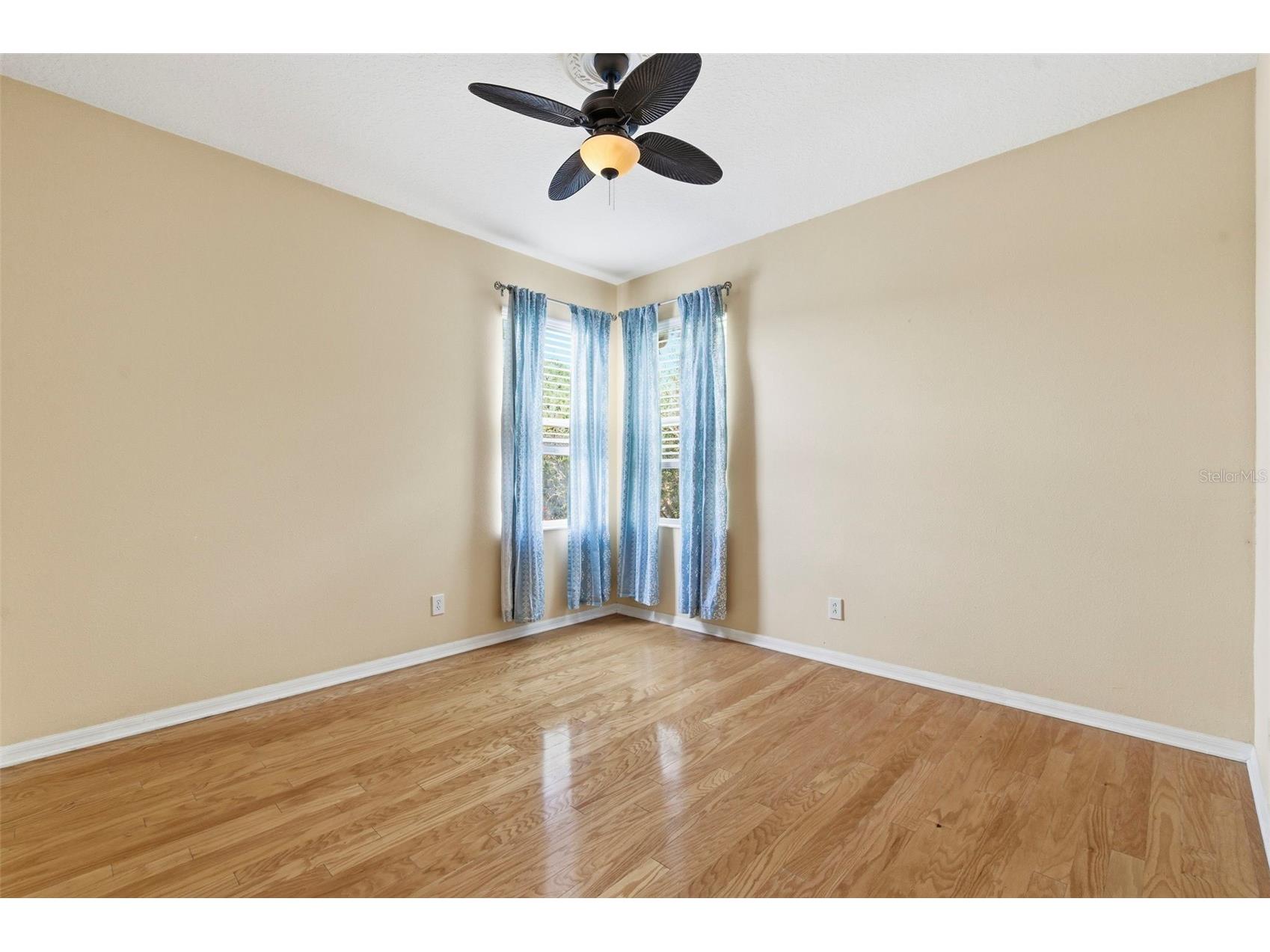 20629 Wild Plum Court Land O Lakes FL 34637 TB8501632 image58