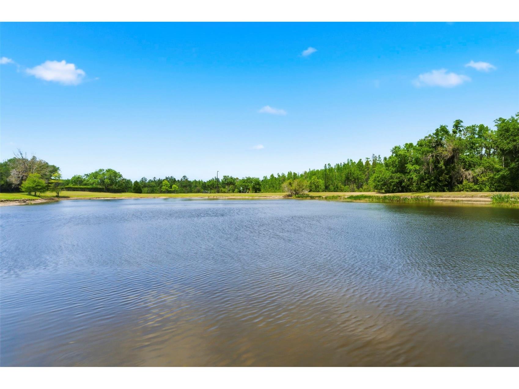 20629 Wild Plum Court Land O Lakes FL 34637 TB8501632 image71