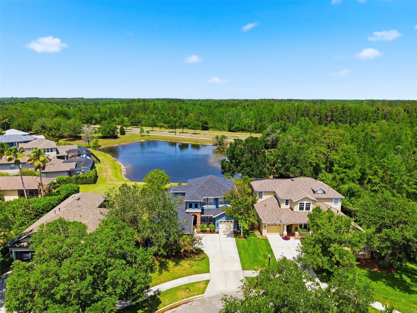 20629 Wild Plum Court Land O Lakes FL 34637 TB8501632 image72
