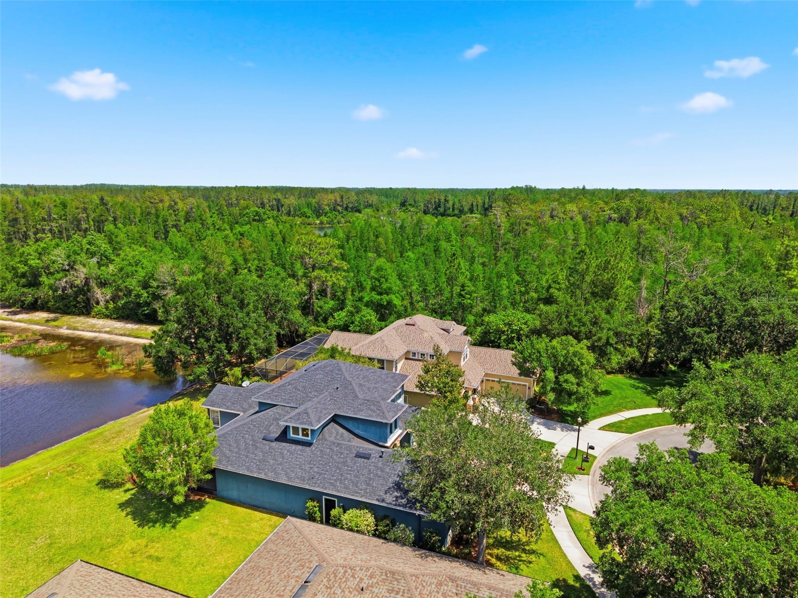 20629 Wild Plum Court Land O Lakes FL 34637 TB8501632 image73