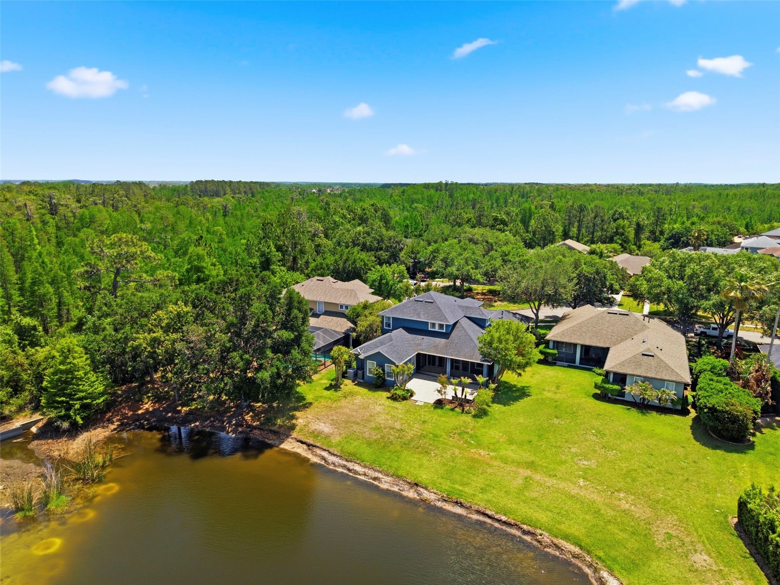 20629 Wild Plum Court Land O Lakes FL 34637 TB8501632 image74