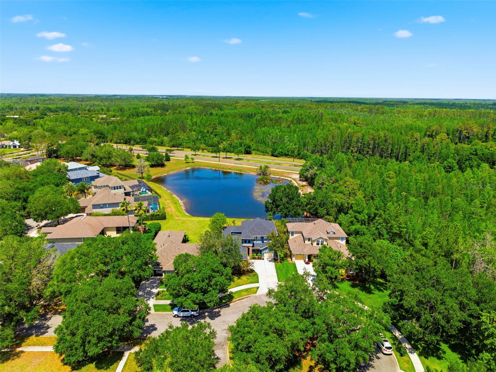 20629 Wild Plum Court Land O Lakes FL 34637 TB8501632 image77