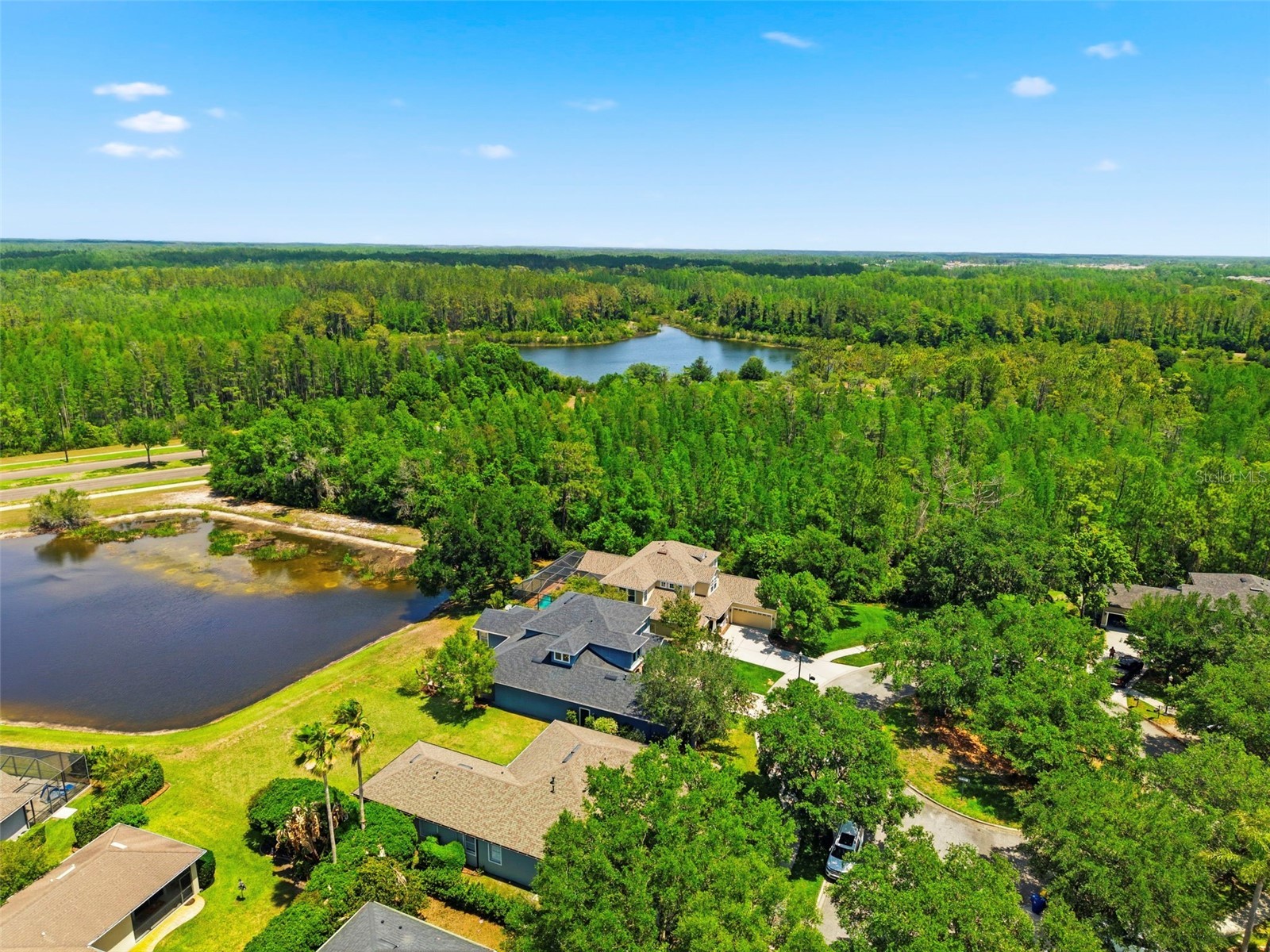 20629 Wild Plum Court Land O Lakes FL 34637 TB8501632 image78