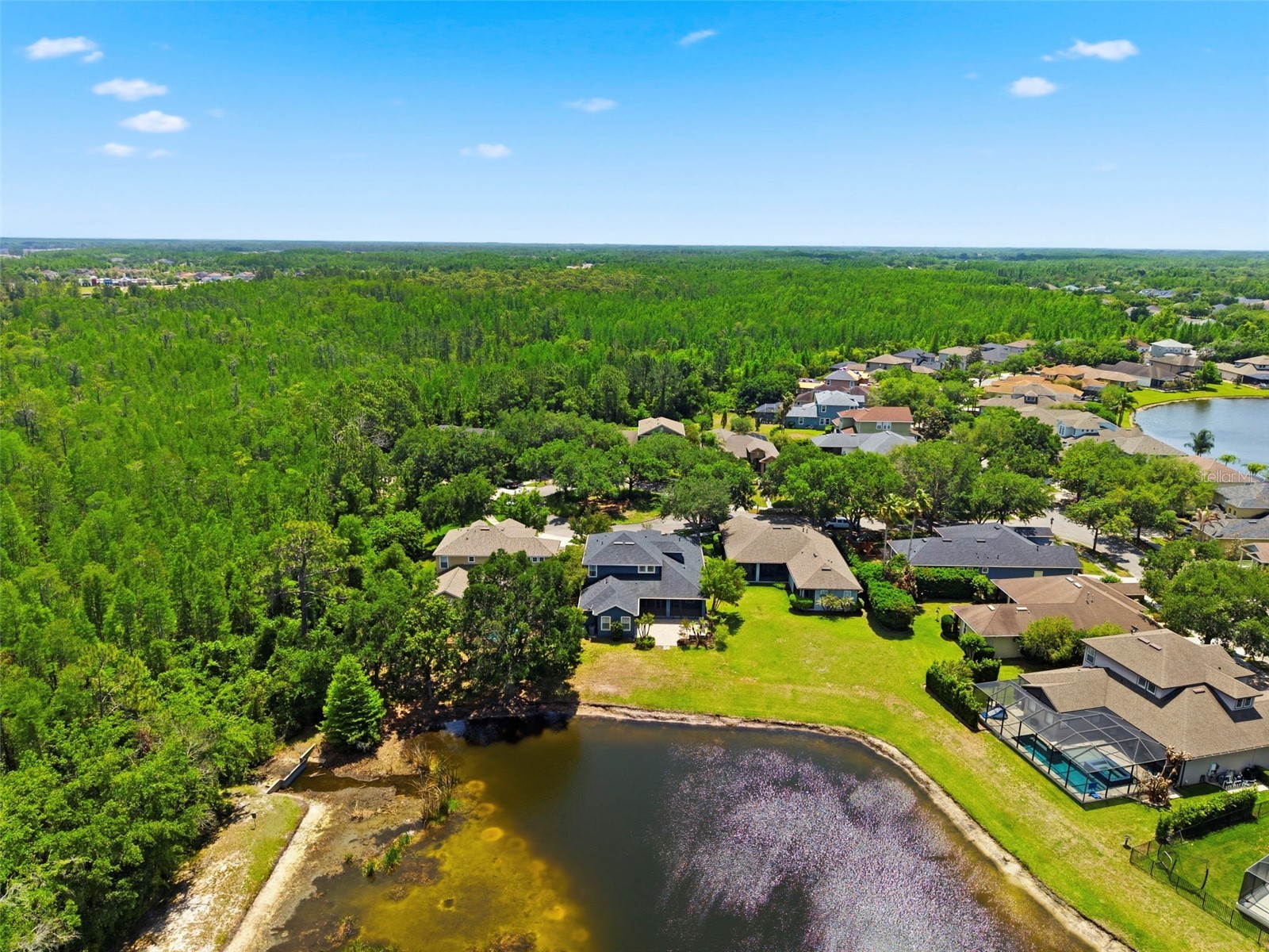 20629 Wild Plum Court Land O Lakes FL 34637 TB8501632 image79
