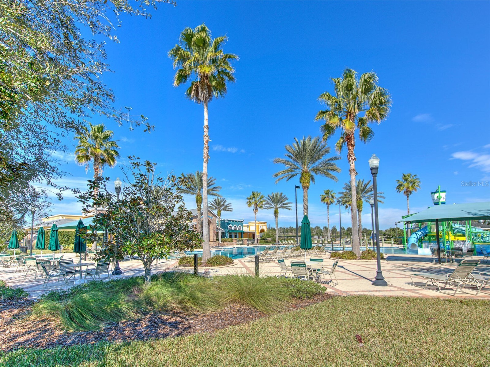 20629 Wild Plum Court Land O Lakes FL 34637 TB8501632 image86