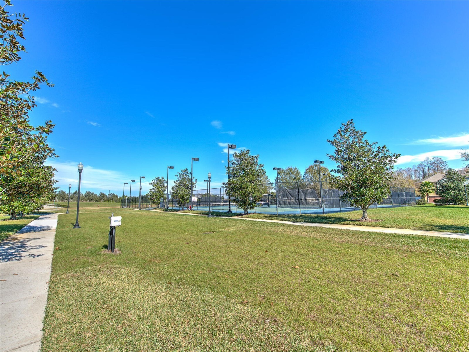 20629 Wild Plum Court Land O Lakes FL 34637 TB8501632 image88