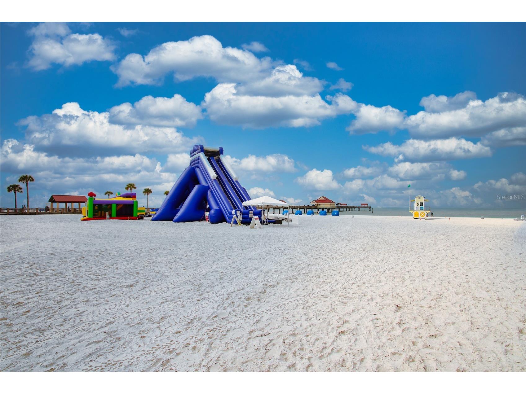 2063 Dunston Cove Road Clearwater FL 33755 TB8524672 image49