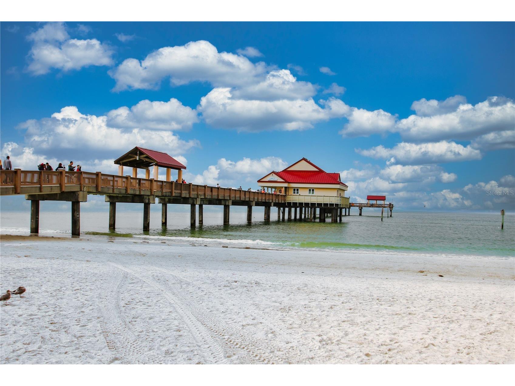 2063 Dunston Cove Road Clearwater FL 33755 TB8524672 image50