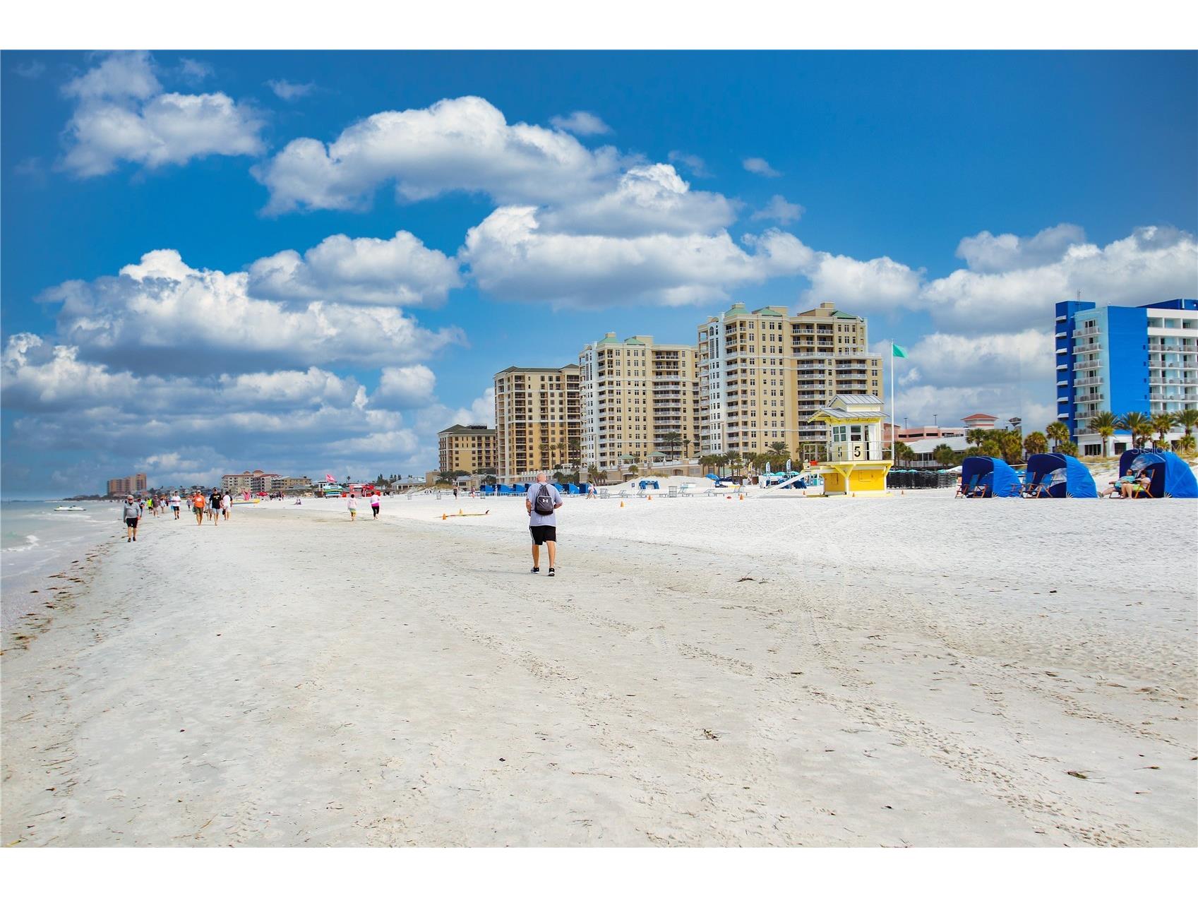 2063 Dunston Cove Road Clearwater FL 33755 TB8524672 image52