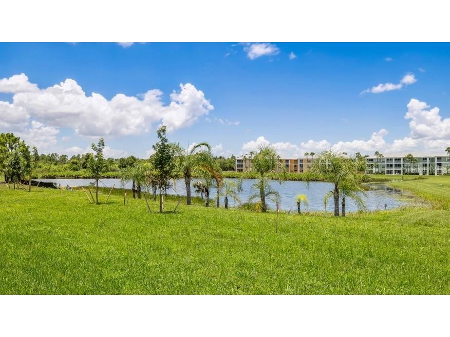 2063 Royal Tern Circle Punta Gorda FL 33983 C7518843 image16