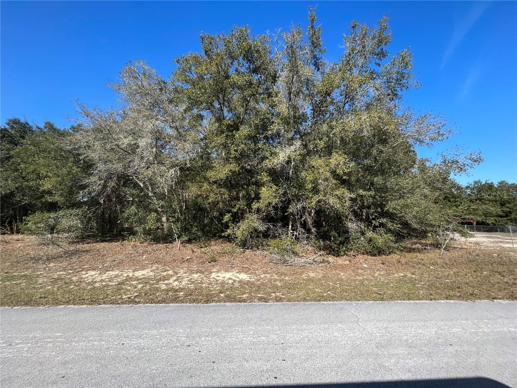 2063 W Chanron Place Citrus Springs FL 34434 OK222463 image1