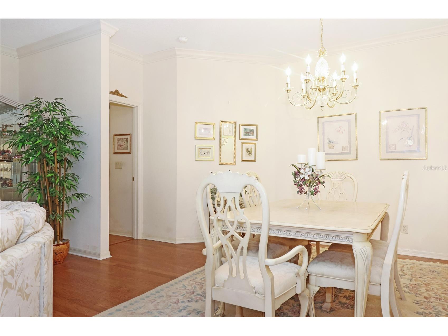20631 Prince Ranier Place Leesburg FL 34748 G5095688 image8