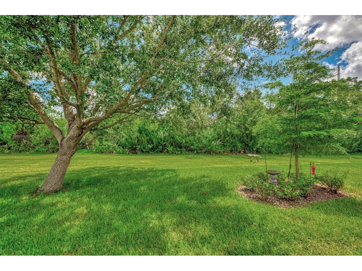 20636 Capello Drive Venice FL 34292 N6140042 image53