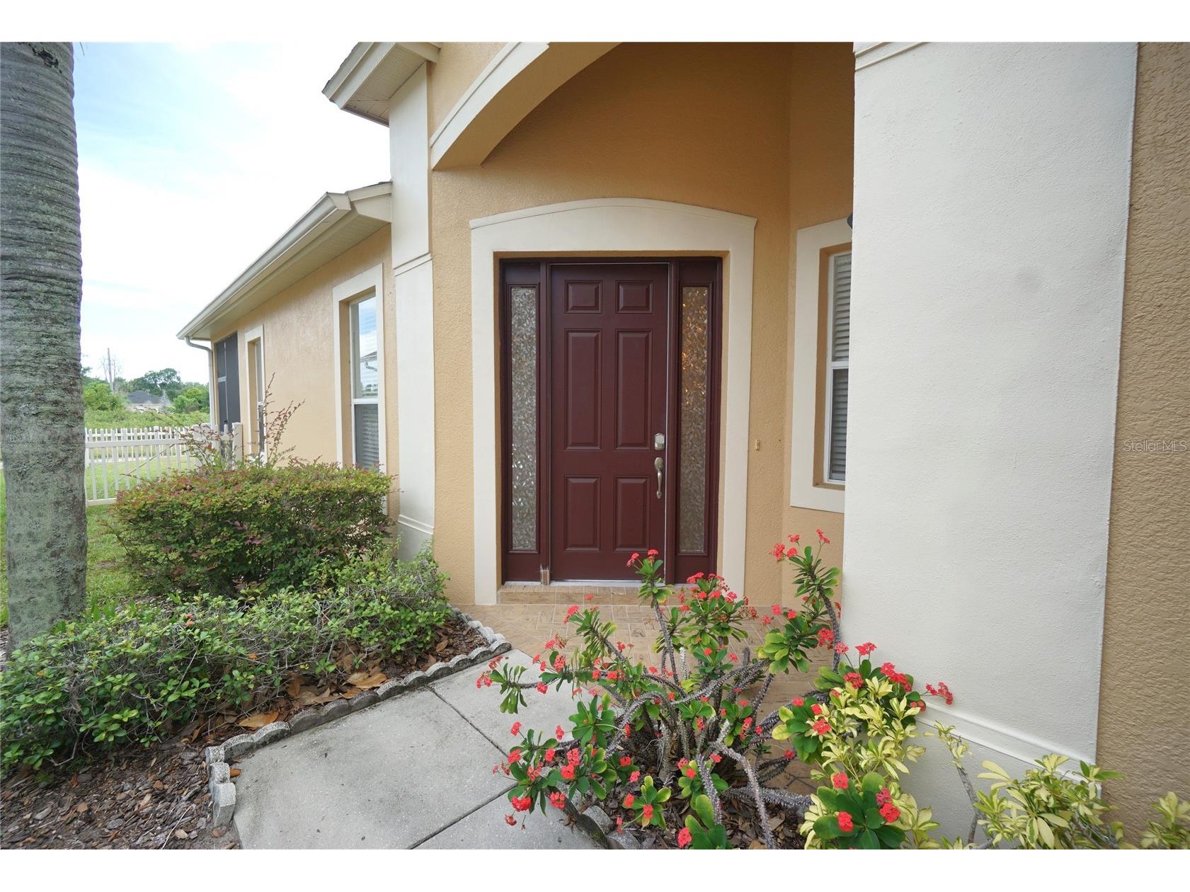 20638 Amanda Oak Court Land O Lakes FL 34638 TB8524468 image22