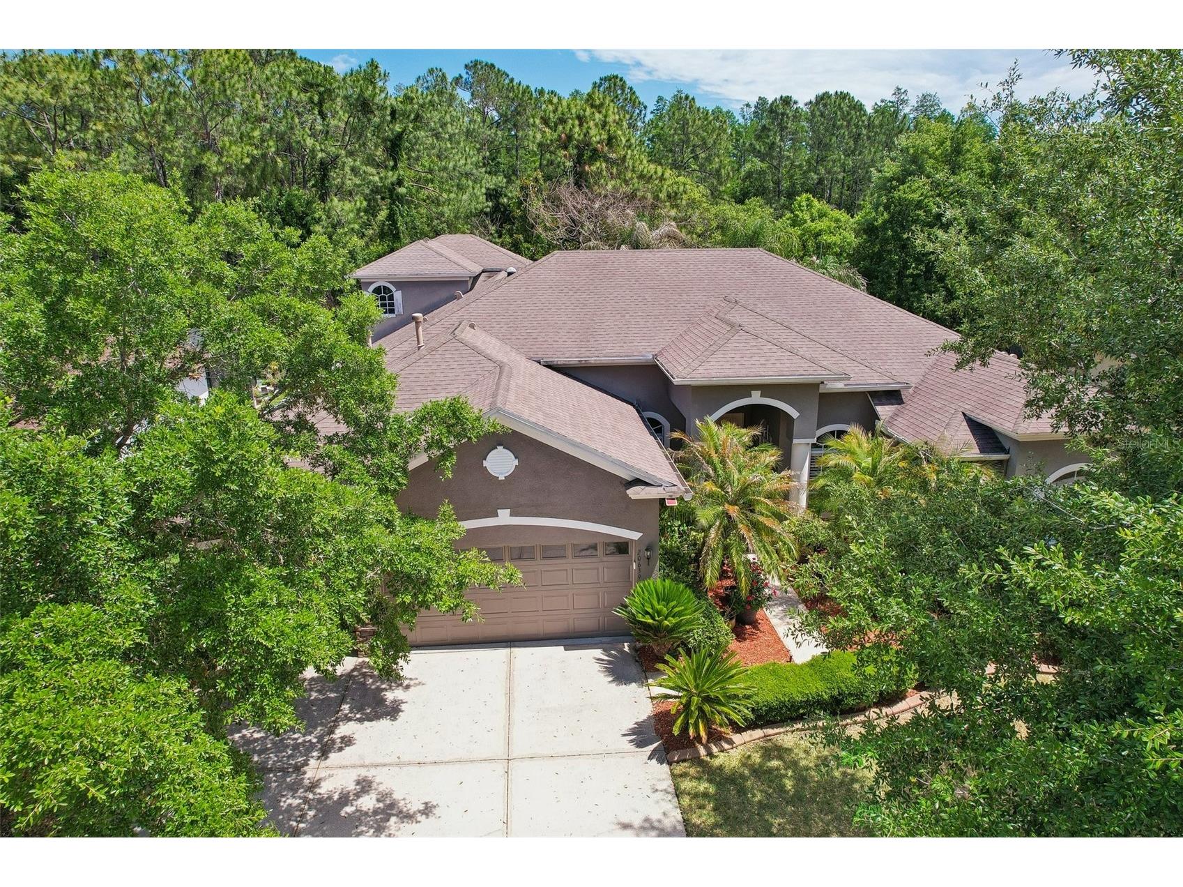 20639 Longleaf Pine Avenue Tampa FL 33647 TB8502223 image38