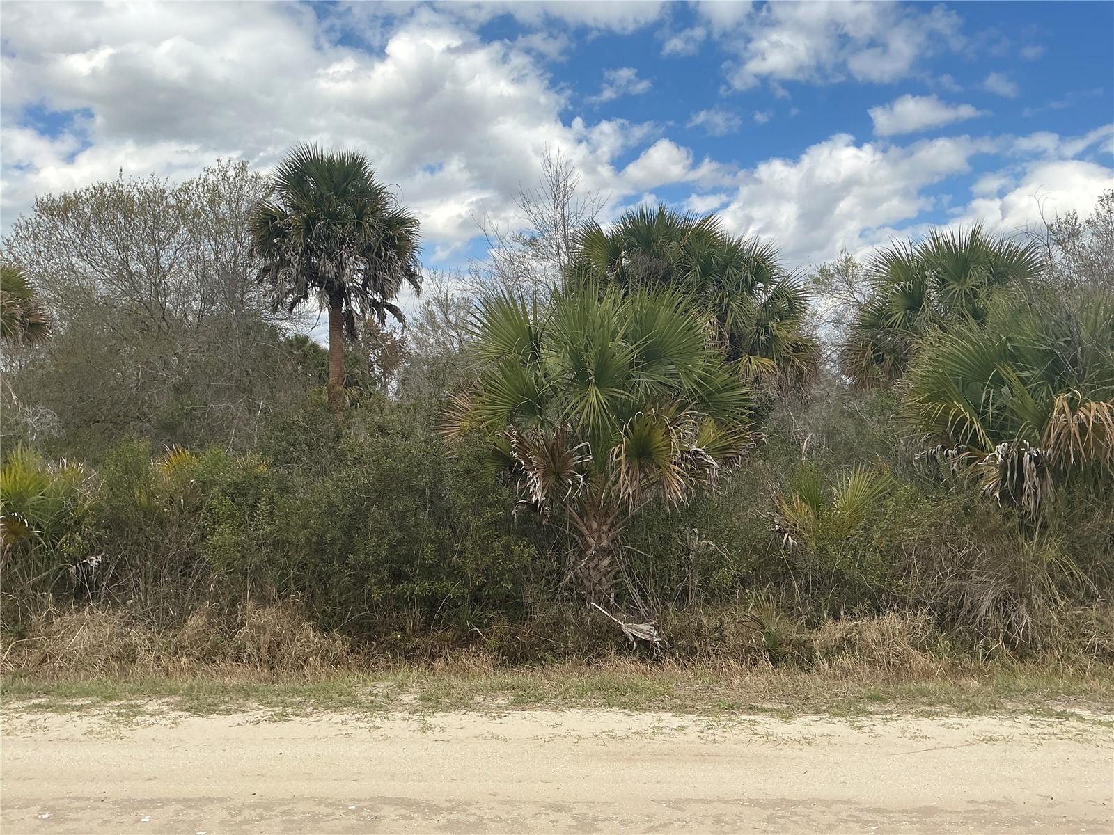 20639 NW 300th Street Okeechobee FL 34972 OM721559 image1
